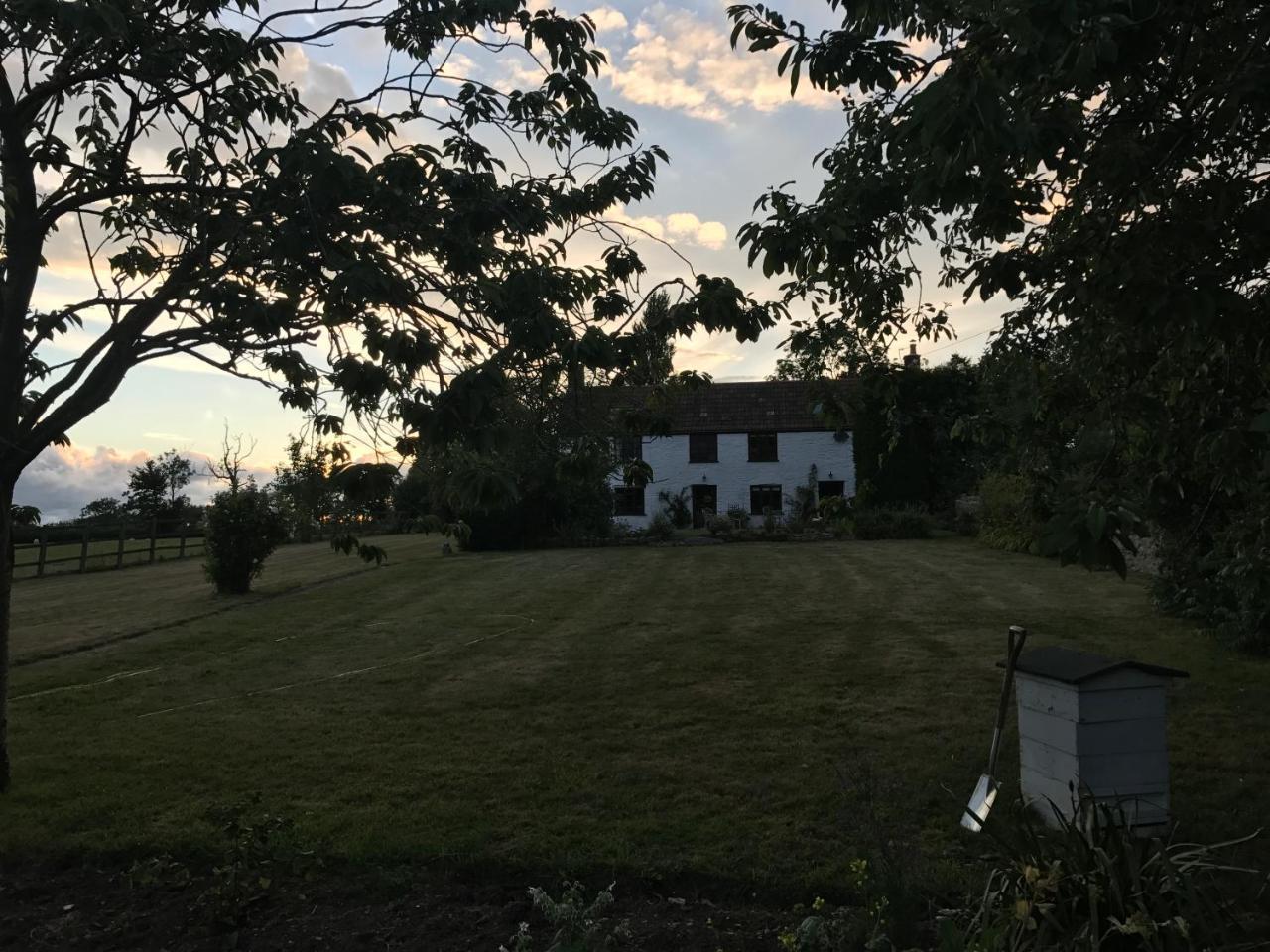 Mount Pleasant Farm Bed & Breakfast Wedmore Dış mekan fotoğraf